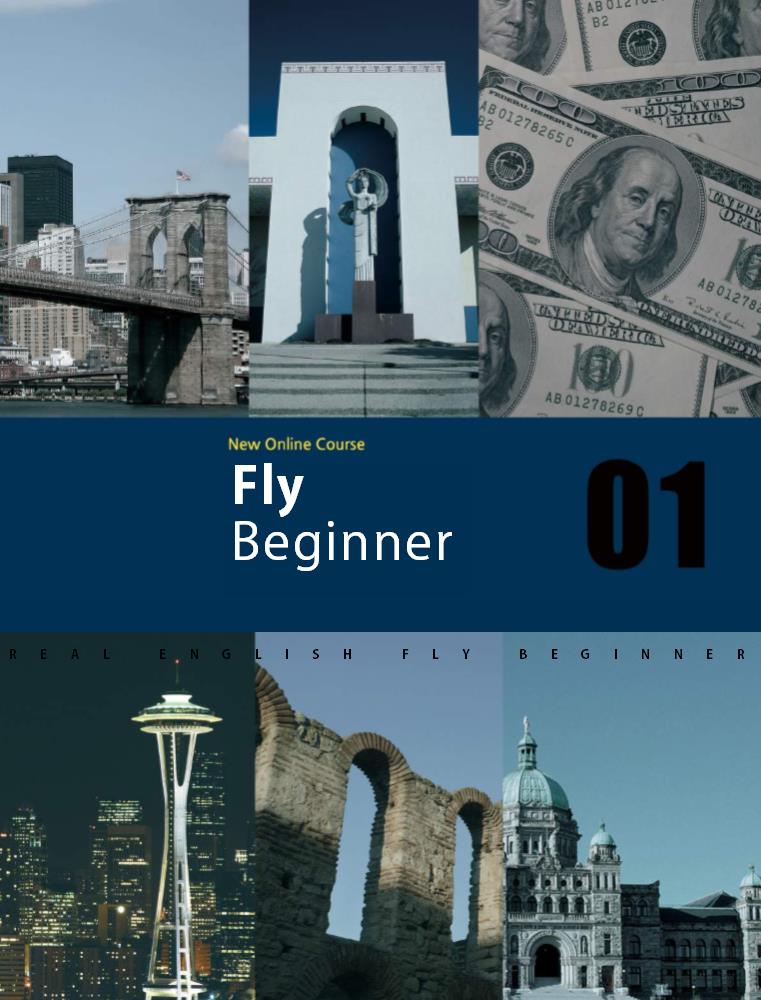 Fly Beginner