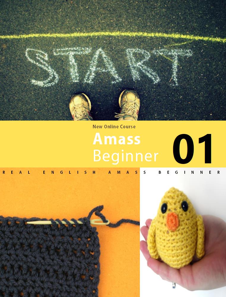 Amass Beginner